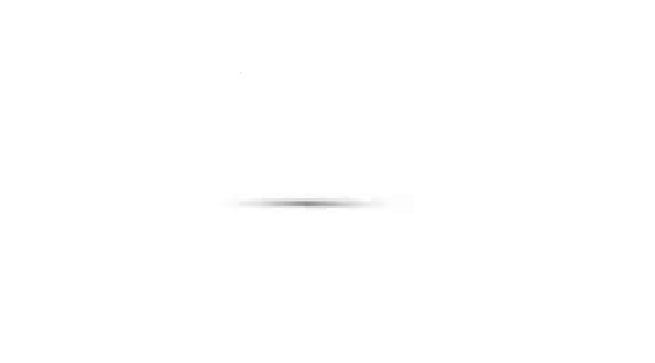 Infante Immigrant Connection INC
